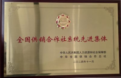 2024全国供销合作社系统先进集体